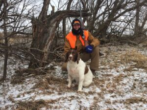 Chris Dooley hunting for pheasants with his springer spaniel Millie.