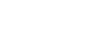 Trusted Choice Logo