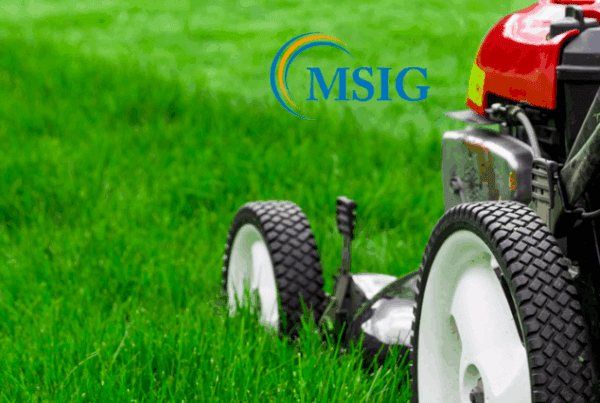 Landscapers Insurance