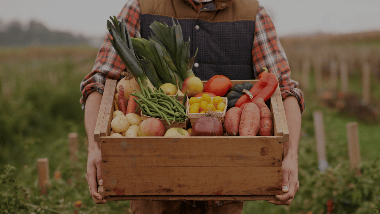 Farm Insurance Wisconsin farmer with crops